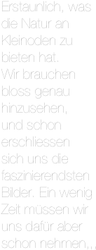 Erstaunlich, was die Natur an Kleinoden zu bieten hat.
Wir brauchen bloss genau hinzusehen,
und schon erschliessen
sich uns die faszinierendsten Bilder. Ein wenig Zeit müssen wir uns dafür aber schon nehmen,,,