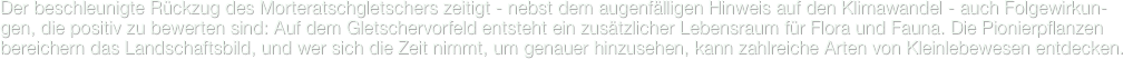 Der beschleunigte Rückzug des Morteratschgletschers zeitigt - nebst dem augenfälligen Hinweis auf den Klimawandel - auch Folgewirkun-gen, die positiv zu bewerten sind: Auf dem Gletschervorfeld entsteht ein zusätzlicher Lebensraum für Flora und Fauna. Die Pionierpflanzen bereichern das Landschaftsbild, und wer sich die Zeit nimmt, um genauer hinzusehen, kann zahlreiche Arten von Kleinlebewesen entdecken.