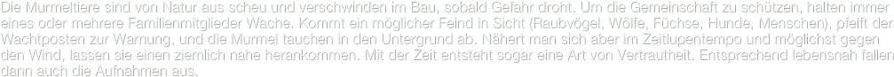 Die Murmeltiere sind von Natur aus scheu und verschwinden im Bau, sobald Gefahr droht. Um die Gemeinschaft zu schützen, halten immer eines oder mehrere Familienmitglieder Wache. Kommt ein möglicher Feind in Sicht (Raubvögel, Wölfe, Füchse, Hunde, Menschen), pfeift der Wachtposten zur Warnung, und die Murmel tauchen in den Untergrund ab. Nähert man sich aber im Zeitlupentempo und möglichst gegen den Wind, lassen sie einen ziemlich nahe herankommen. Mit der Zeit entsteht sogar eine Art von Vertrautheit. Entsprechend lebensnah fallen dann auch die Aufnahmen aus.