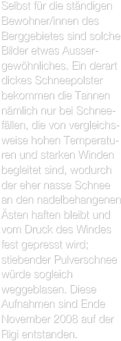 Selbst für die ständigen Bewohner/innen des Berggebietes sind solche Bilder etwas Ausser-gewöhnliches. Ein derart dickes Schneepolster bekommen die Tannen nämlich nur bei Schnee-fällen, die von vergleichs-weise hohen Temperatu-ren und starken Winden begleitet sind, wodurch der eher nasse Schnee an den nadelbehangenen Ästen haften bleibt und vom Druck des Windes fest gepresst wird; stiebender Pulverschnee würde sogleich weggeblasen. Diese Aufnahmen sind Ende November 2008 auf der Rigi entstanden.
