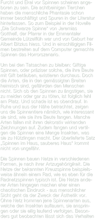 Furcht und Ekel vor Spinnen scheinen ange-boren zu sein. Die achtbeinigen Tierchen haben die menschliche Phantasie schon immer beschäftigt und Spuren in der Literatur hinterlassen. So zum Beispiel in der Novelle „Die Schwarze Spinne“ von Jeremias Gotthelf, der Pfarrer in der Emmentaler Gemeinde Lützelflüh war und von Geburt her Albert Bitzius hiess. Und in einschlägigen Fil-men bestreiten auf dem Computer gemachte Spinnen das Horrorszenario.

Um bei den Tatsachen zu bleiben: Giftige Spinnen, oder präziser solche, die ihre Beute mit Gift betäuben, existieren durchaus. Doch die Arten, die in den gemässigten Breiten heimisch sind, gefährden den Menschen nicht. Sich ob den Spinnen zu ängstigen, sie zu meiden oder gar zu töten, ist folglich fehl am Platz. Und schade ist es obendrauf. In Ruhe und aus der Nähe betrachtet, zeigen uns die Spinnentiere nämlich, wie interessant sie sind, wie sie ihre Beute fangen. Manche Arten fallen mit ihren dekorativ wirkenden Zeichnungen auf. Zudem fangen und vertil-gen die Spinnen eine Menge Insekten, was sie zu Nützlingen macht. Der überlieferte Satz „Spinnen im Haus, sauberes Haus“ kommt nicht von ungefähr.

Die Spinnen bauen Netze in verschiedenen Formen, je nach ihrer Artzugehörigikeit. Die Netze der bekannten Kreuzspinne beispiels-weise ähneln einem Rad, wie es eben für die Radnetzspinnen typisch ist. Die Netze ande-rer Arten hingegen machen eher einen chaotischen Eindruck - aus menschlicher Sicht geht da der Zweck der Ästhetik vor. Ohne Netz kommen jene Spinnenarten aus, welche den Insekten auflauern, sie ansprin-gen oder sie eilig laufend verfolgen. Beson-ders gut beobachten lässt sich das Verhalten
