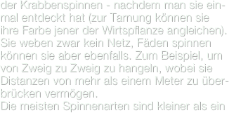 der Krabbenspinnen - nachdem man sie ein-mal entdeckt hat (zur Tarnung können sie ihre Farbe jener der Wirtspflanze angleichen). Sie weben zwar kein Netz, Fäden spinnen können sie aber ebenfalls. Zum Beispiel, um von Zweig zu Zweig zu hangeln, wobei sie Distanzen von mehr als einem Meter zu über-brücken vermögen.
Die meisten Spinnenarten sind kleiner als ein