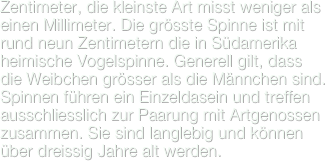 Zentimeter, die kleinste Art misst weniger als einen Millimeter. Die grösste Spinne ist mit rund neun Zentimetern die in Südamerika heimische Vogelspinne. Generell gilt, dass die Weibchen grösser als die Männchen sind.
Spinnen führen ein Einzeldasein und treffen ausschliesslich zur Paarung mit Artgenossen zusammen. Sie sind langlebig und können über dreissig Jahre alt werden.