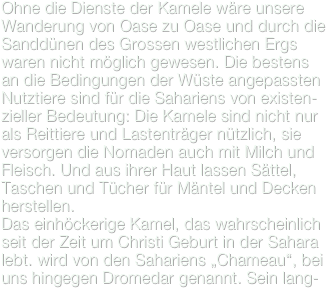Ohne die Dienste der Kamele wäre unsere Wanderung von Oase zu Oase und durch die Sanddünen des Grossen westlichen Ergs waren nicht möglich gewesen. Die bestens an die Bedingungen der Wüste angepassten Nutztiere sind für die Sahariens von existen-zieller Bedeutung: Die Kamele sind nicht nur als Reittiere und Lastenträger nützlich, sie versorgen die Nomaden auch mit Milch und Fleisch. Und aus ihrer Haut lassen Sättel, Taschen und Tücher für Mäntel und Decken herstellen.
Das einhöckerige Kamel, das wahrscheinlich seit der Zeit um Christi Geburt in der Sahara lebt. wird von den Sahariens „Chameau“, bei uns hingegen Dromedar genannt. Sein lang-