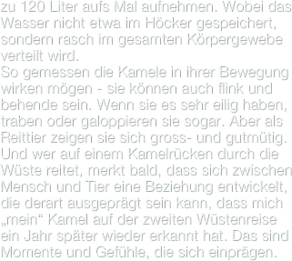 zu 120 Liter aufs Mal aufnehmen. Wobei das Wasser nicht etwa im Höcker gespeichert, sondern rasch im gesamten Körpergewebe verteilt wird.
So gemessen die Kamele in ihrer Bewegung wirken mögen - sie können auch flink und behende sein. Wenn sie es sehr eilig haben, traben oder galoppieren sie sogar. Aber als Reittier zeigen sie sich gross- und gutmütig. Und wer auf einem Kamelrücken durch die Wüste reitet, merkt bald, dass sich zwischen Mensch und Tier eine Beziehung entwickelt, die derart ausgeprägt sein kann, dass mich „mein“ Kamel auf der zweiten Wüstenreise ein Jahr später wieder erkannt hat. Das sind Momente und Gefühle, die sich einprägen.