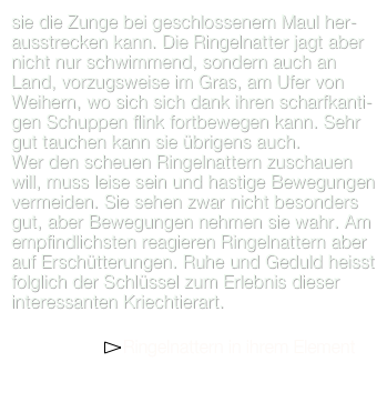 sie die Zunge bei geschlossenem Maul her-ausstrecken kann. Die Ringelnatter jagt aber nicht nur schwimmend, sondern auch an Land, vorzugsweise im Gras, am Ufer von Weihern, wo sich sich dank ihren scharfkanti-gen Schuppen flink fortbewegen kann. Sehr gut tauchen kann sie übrigens auch.
Wer den scheuen Ringelnattern zuschauen will, muss leise sein und hastige Bewegungen vermeiden. Sie sehen zwar nicht besonders gut, aber Bewegungen nehmen sie wahr. Am empfindlichsten reagieren Ringelnattern aber auf Erschütterungen. Ruhe und Geduld heisst folglich der Schlüssel zum Erlebnis dieser interessanten Kriechtierart.
  
                 ￼