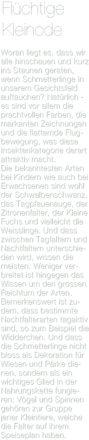 Flüchtige
Kleinode

Woran liegt es, dass wir alle hinschauen und kurz ins Staunen geraten, wenn Schmetterlinge in unserem Gesichtsfeld auftauchen? Natürlich - es sind vor allem die prachtvollen Farben, die markanten Zeichnungen und die flatternde Flug-bewegung, was diese Insektenkategorie derart attraktiv macht.
Die bekanntesten Arten bei Kindern wie auch bei Erwachsenen sind wohl der Schwalbenschwanz, das Tagpfauenauge, der Zitronenfalter, der Kleine Fuchs und vielleicht die Weisslinge. Und dass zwischen Tagfaltern und Nachtfaltern unterschie-den wird, wissen die meisten. Weniger ver-breitet ist hingegen das Wissen um den grossen Reichtum der Arten.
Bemerkenswert ist zu-dem, dass bestimmte Nachtfalterarten tagaktiv sind, so zum Beispiel die Widderchen. Und dass die Schmetterlinge nicht bloss als Dekoration für Wiesen und Pärke die-nen, sondern als ein wichtiges Glied in der Nahrungskette fungie-ren: Vögel und Spinnen gehören zur Gruppe jener Kleintiere, welche die Falter auf ihrem Speiseplan haben.
 