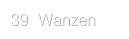 39  Wanzen