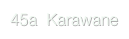 45a  Karawane