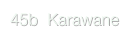 45b  Karawane