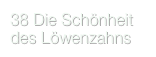 38 Die Schönheit des Löwenzahns