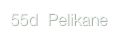 55d  Pelikane