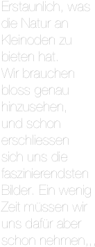 Erstaunlich, was die Natur an Kleinoden zu bieten hat.
Wir brauchen bloss genau hinzusehen,
und schon erschliessen
sich uns die faszinierendsten Bilder. Ein wenig Zeit müssen wir uns dafür aber schon nehmen,,,